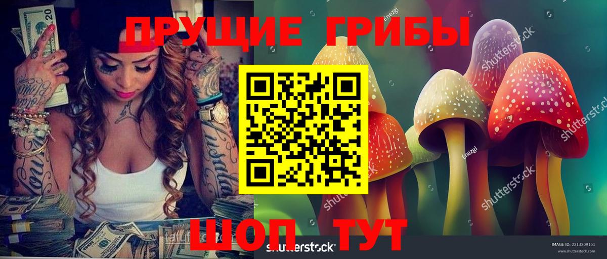 Псилоцибиновые грибы GOLDEN TEACHER Уварово