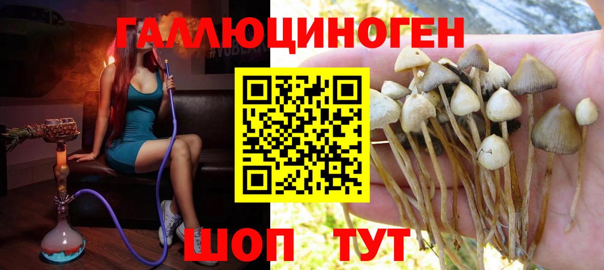 продажа наркотиков  Вход с VPN  Уварово  Псилоцибиновые грибы MAGIC MUSHROOMS 